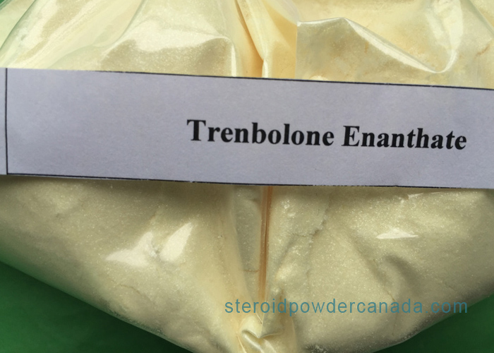 Trenbolone Enanthate Stock in Canada