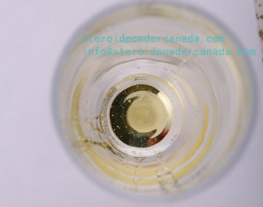 Boldenone Undecylenate