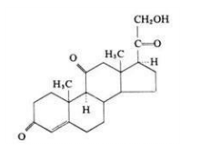 Steroid-Hormone.png